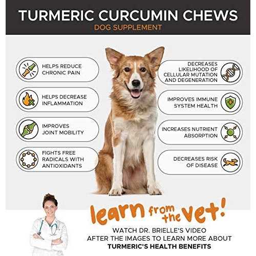 Dog Hip + Joint Health Turmeric Chews F5154