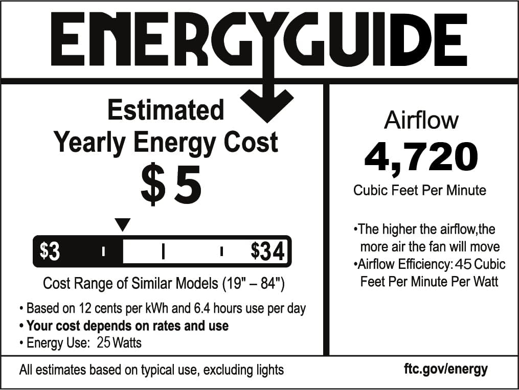 20-inch Caged Ceiling Fan with Light, Reversible, Remote, Bladeless E289