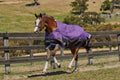Purple Medium Lite Standard Neck Horse Blanket L38910