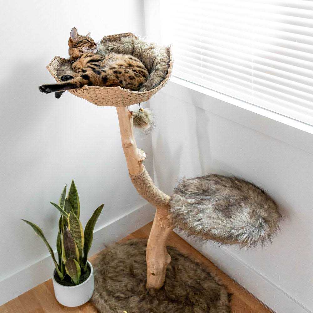 Cat Tree O22275
