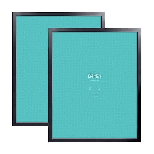 22 x 28 Black Poster Frame 2 Packs A372774
