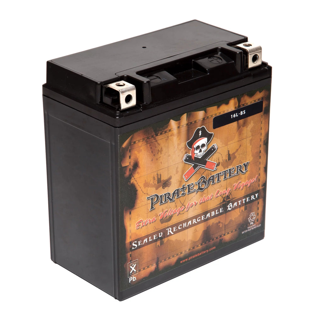 12 Volt 14 Ah 230 CCA ATV Battery A154