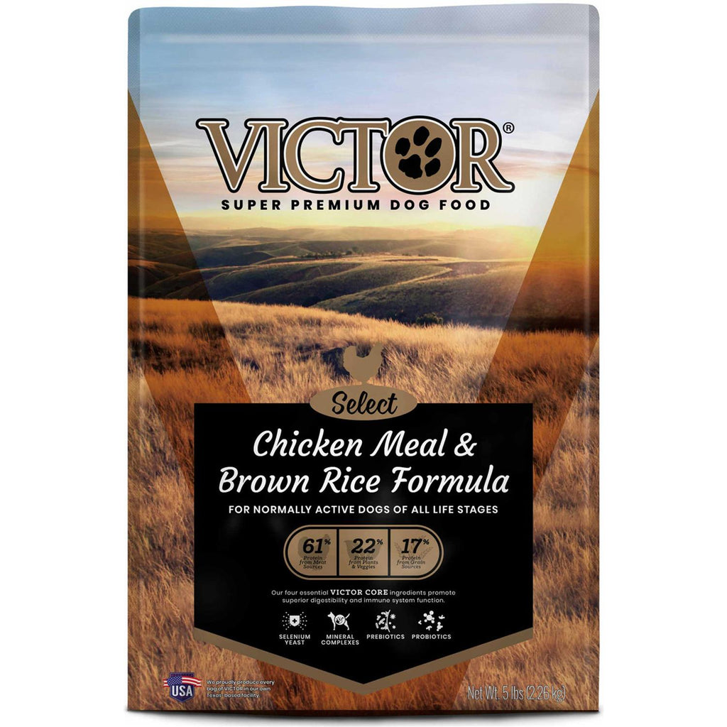 Chicken Meal & Brown Rice Dry Dog Food G2368