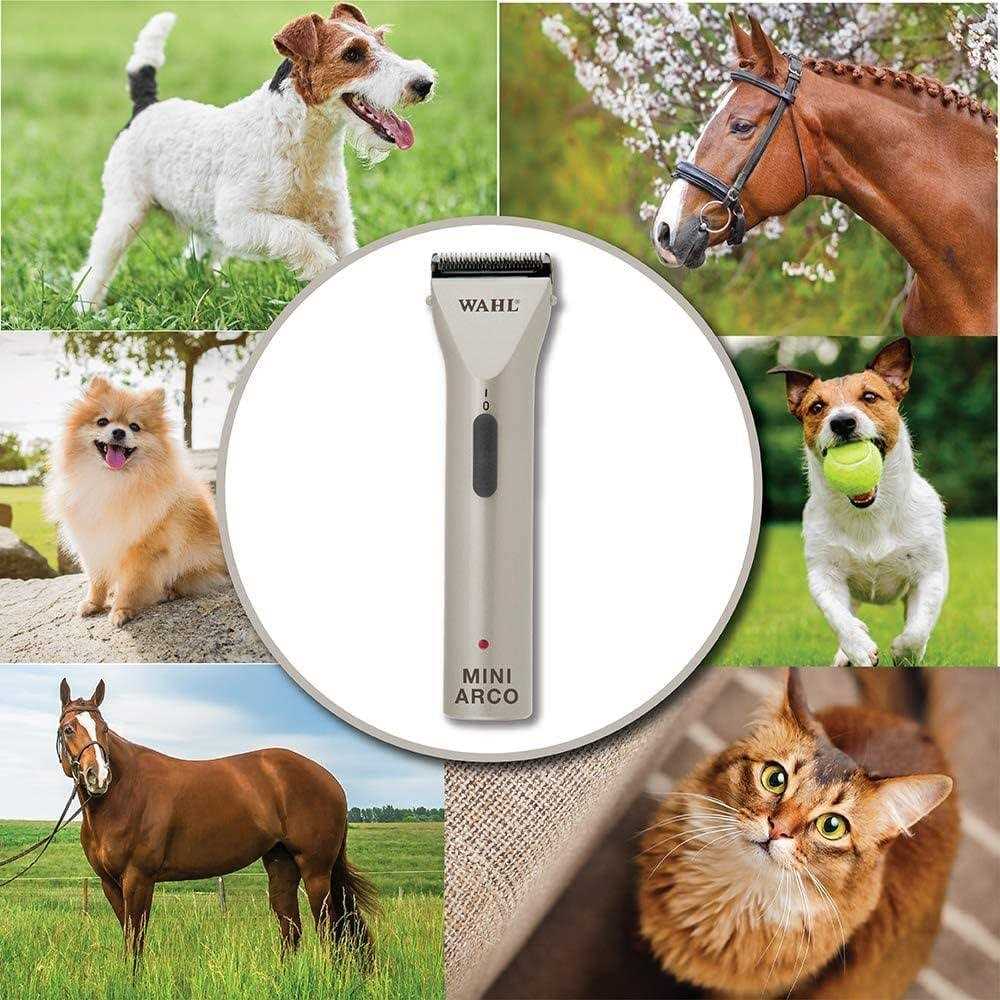 Cord/Cordless Trimmer Kit C656