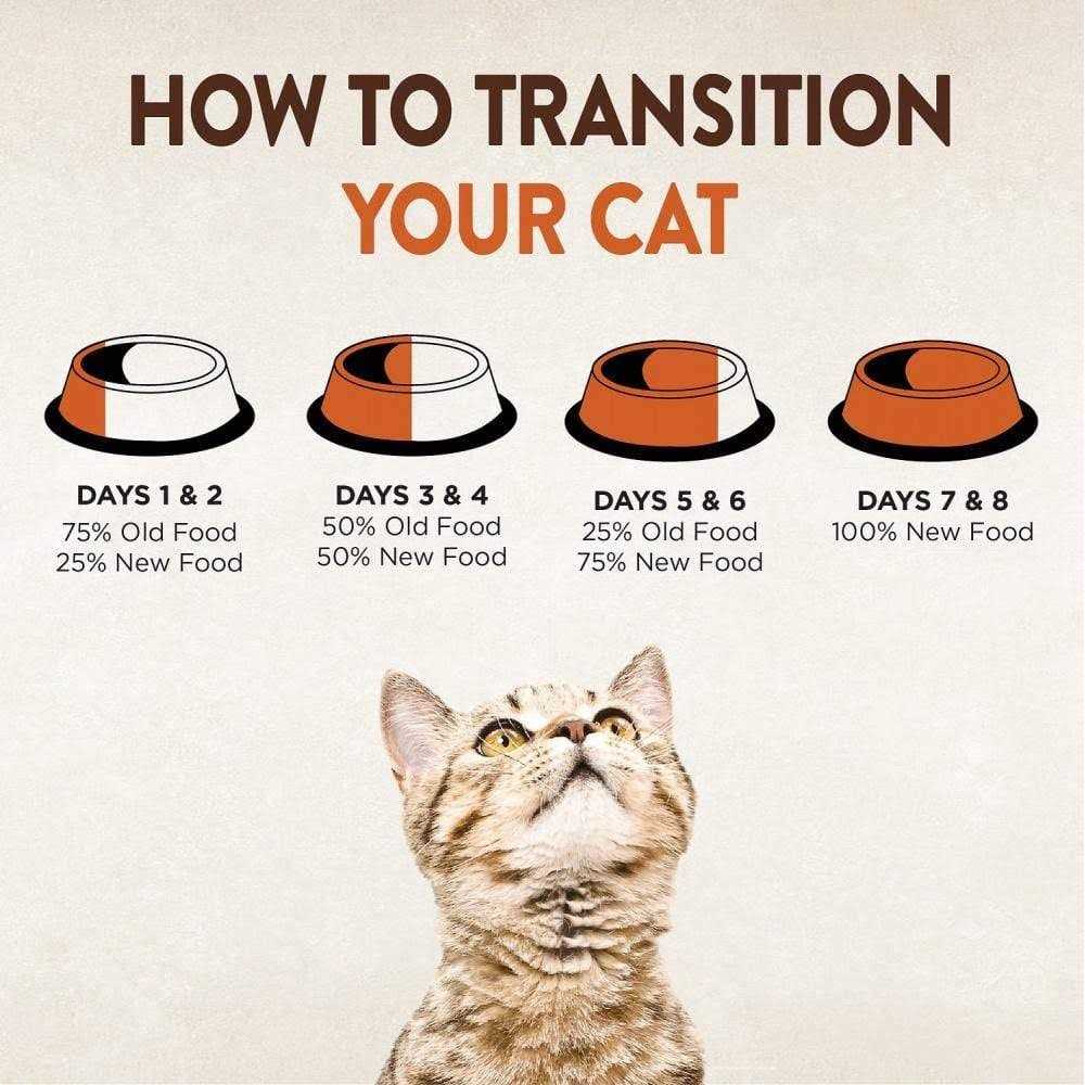 Grain-Free Dry Cat Food M70523
