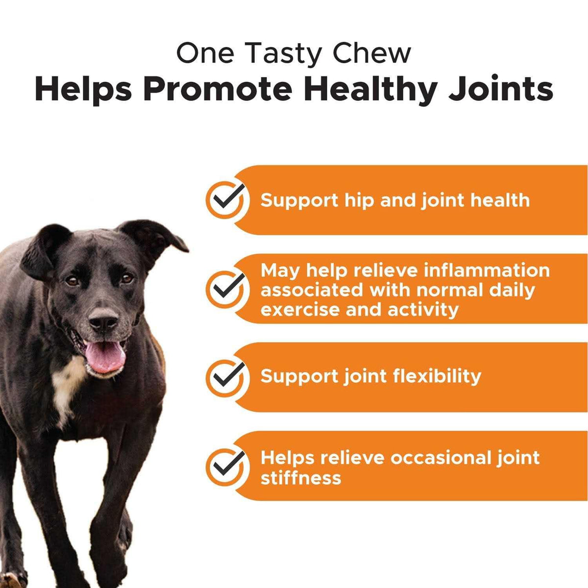 Dog Hip + Joint Health Turmeric Chews F5154