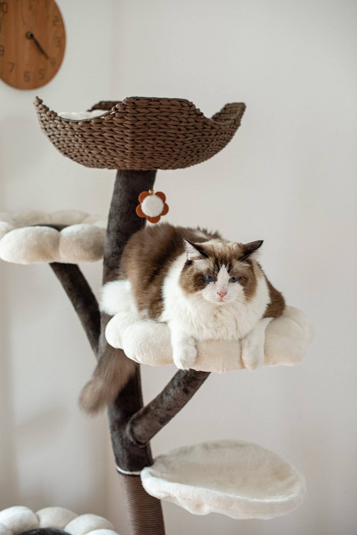 Natural Blossom Flower Woven Tree Branches Large Cat Tree 6-Level Cat Tower with Hammock Foam-Padded Perches Basket Y5236