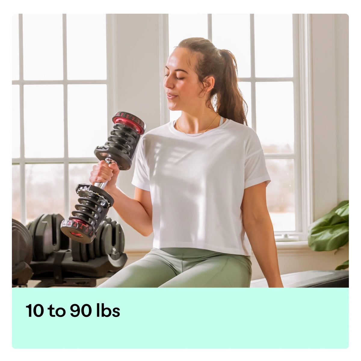 Adjustable Dumbbell V152