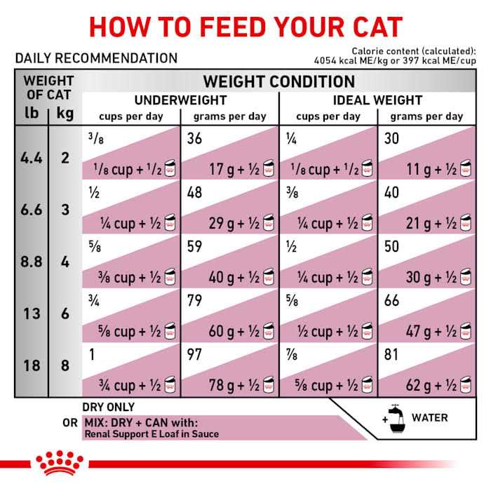Adult Dry Cat Food J4942