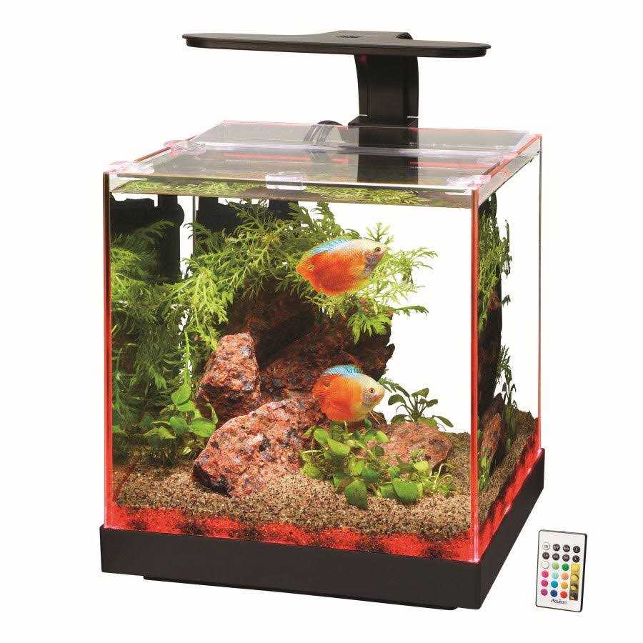 Aquarium Y2699