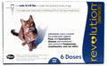 Revolution for Cats 5-15 lb 6 pack M362