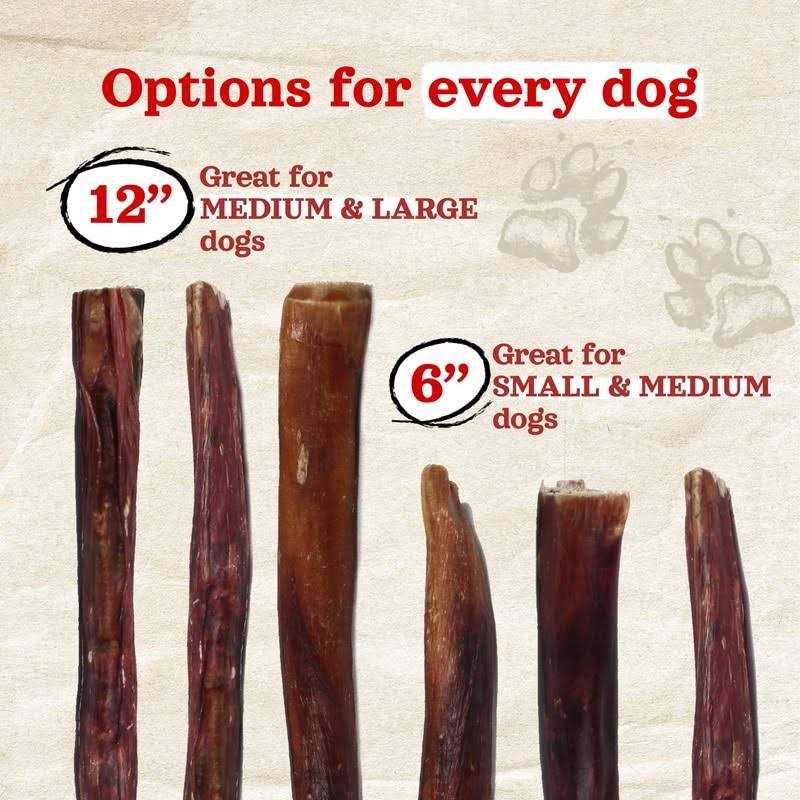 Power Bully Sticks Dog Treats W226107
