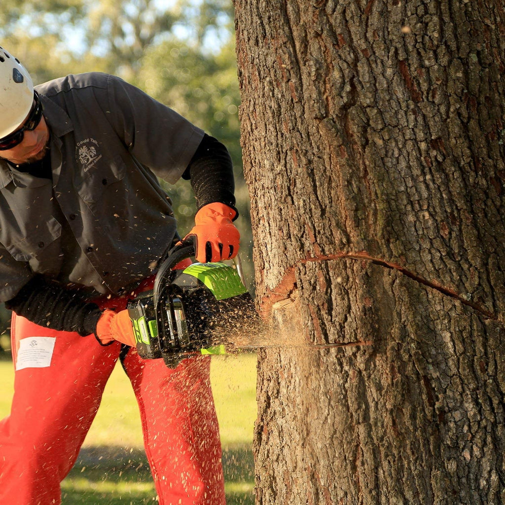 Discontinued 18-Inch 80V Cordless Lithium-Ion Chainsaw B8504