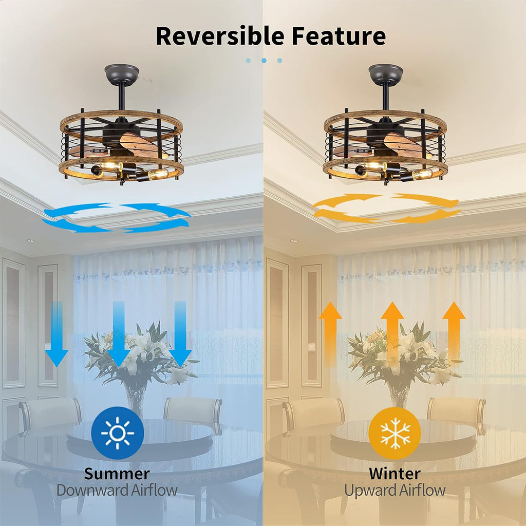 20-inch Caged Ceiling Fan with Light, Reversible, Remote, Bladeless E289