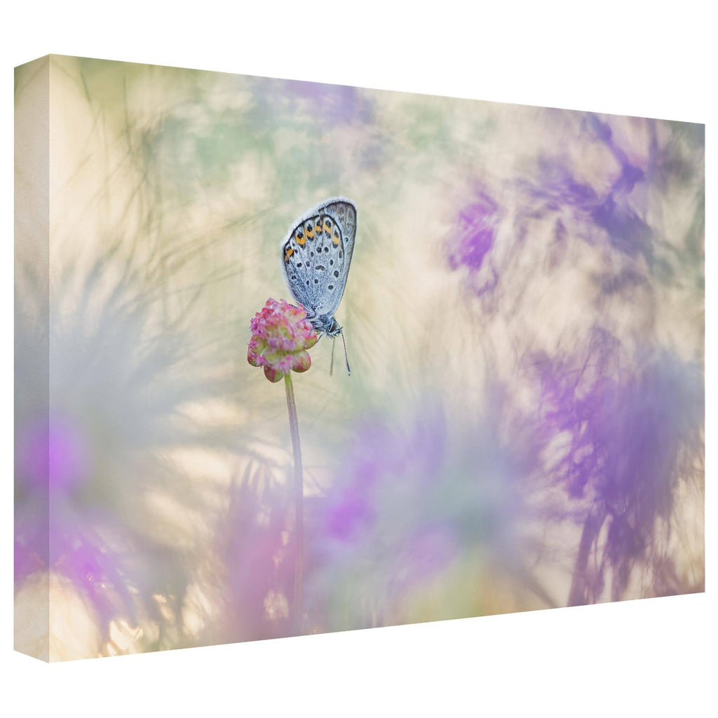 Canvas Art in Tan/White/Purple F80825