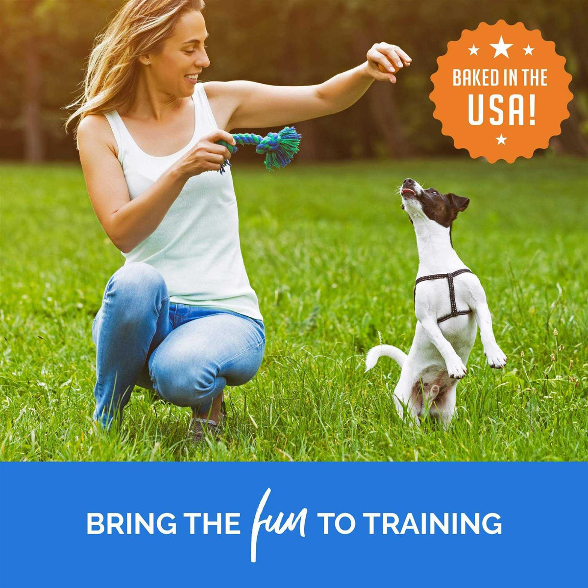 Training Bites Dog Treats T460365