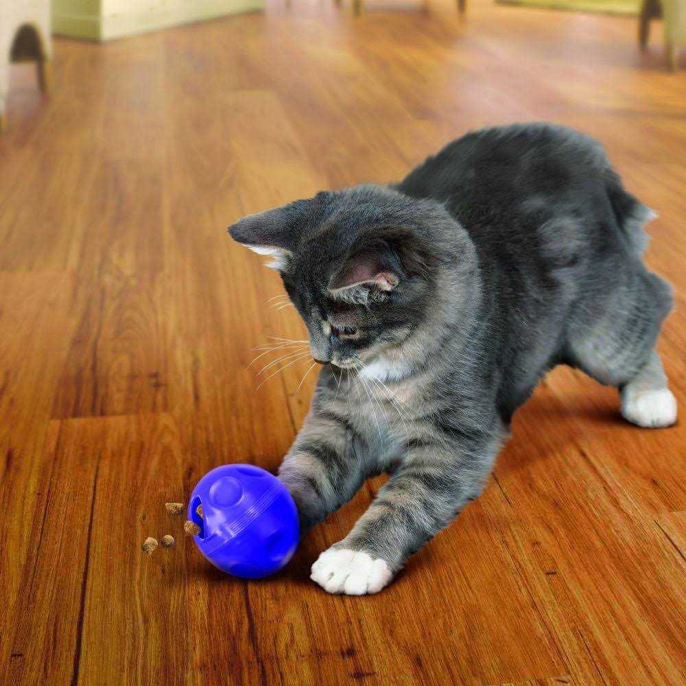 Cat Treat Ball R3198