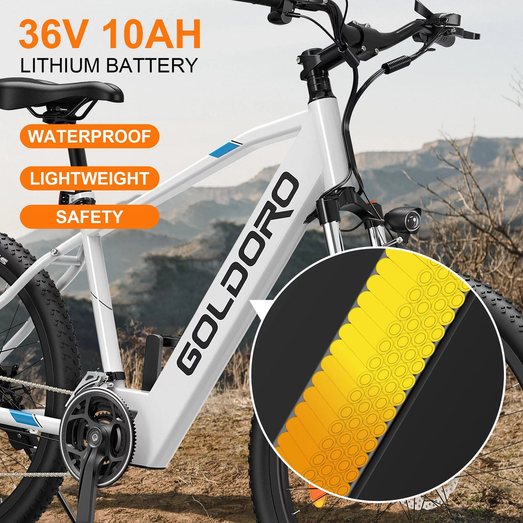 Electric Bike 26" Aluminum Alloy Mountain Bike 250W 21 Speed M9785