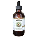 Brazilian Ginseng Alcohol-Free Liquid Extract 2 oz G403366