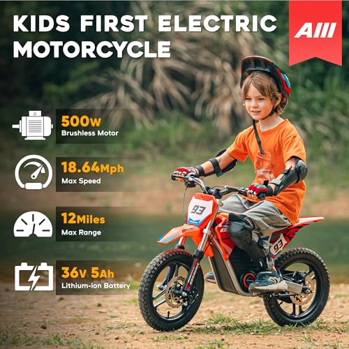 Red Electric Dirt Bike with 12-Inch Off-Road Tires B8237