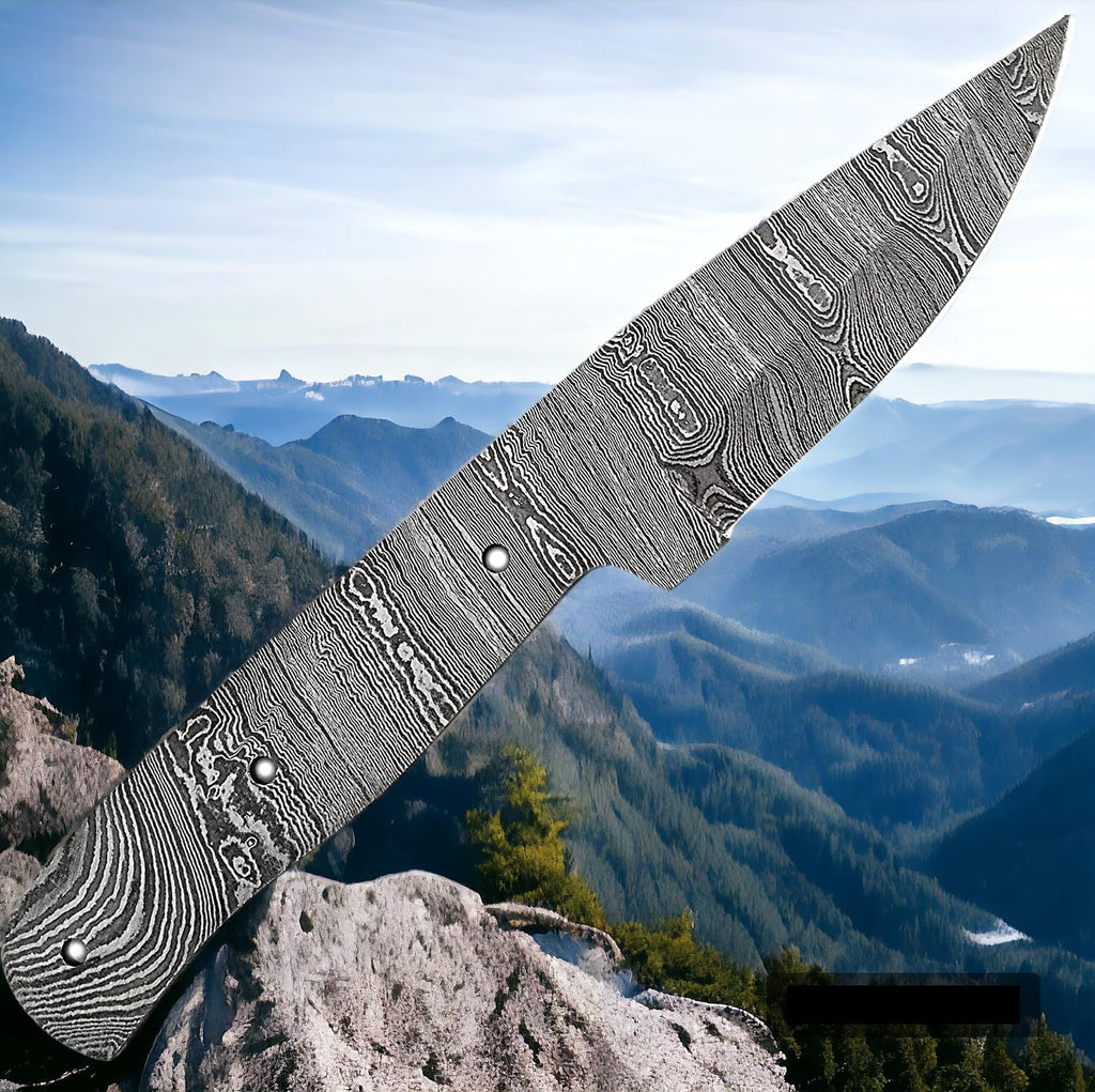 Damascus steel Full Tang Blank Blade Knife C310149