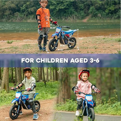 Red Electric Dirt Bike with 12-Inch Off-Road Tires B8237