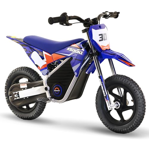 Red Electric Dirt Bike with 12-Inch Off-Road Tires B8237