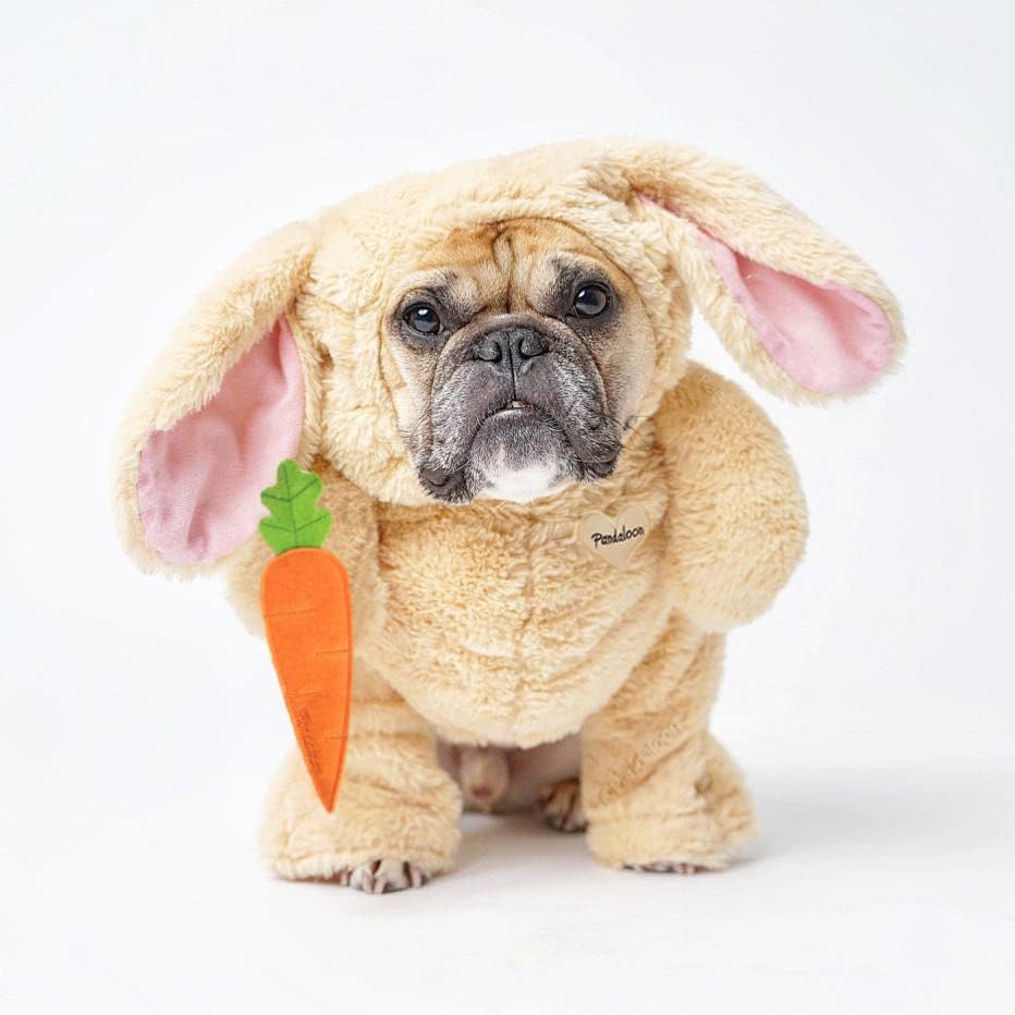 Dog Halloween Costume with Arms for Small and Medium Dogs and Cats S1560