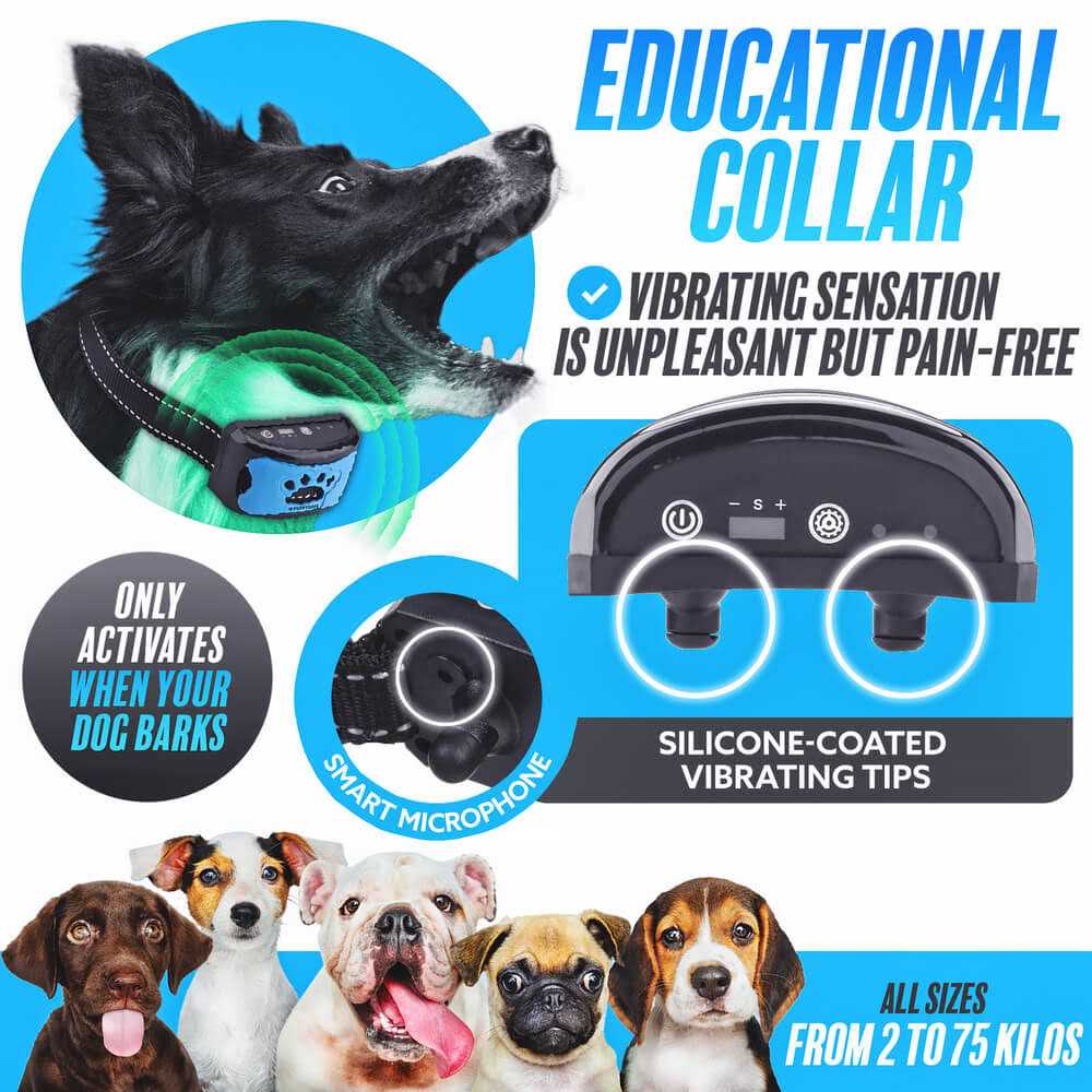 Anti Bark Collar Dog Bark Collar Y419311