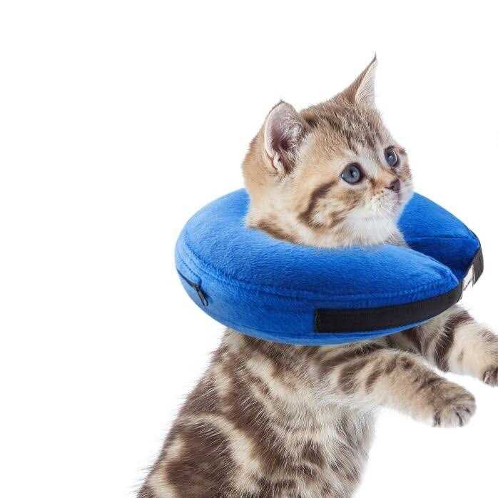 Inflatable Soft Pet Recovery Collar C723