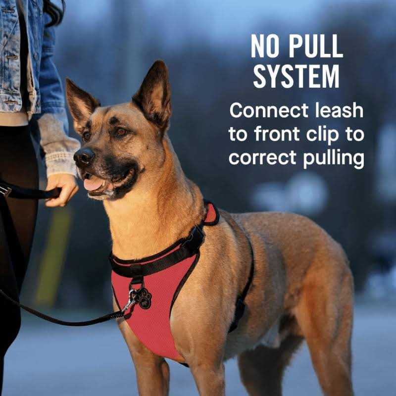 Dog Harness E6830