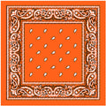 Orange Paisley Bandana - Case of 144 E239322