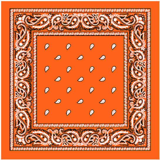 Orange Paisley Bandana - Case of 144 E239322