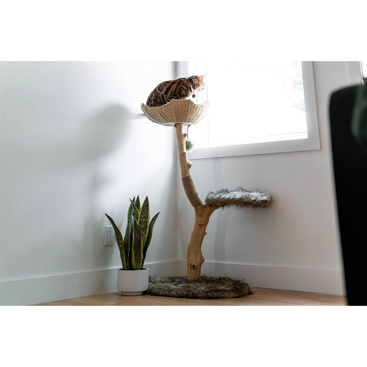 Cat Tree O22275