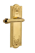Fleur Privacy Door Lever Set with Meadows Polished Brass H741