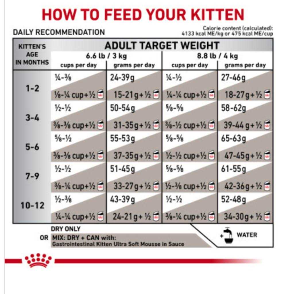 Kitten Dry Cat Food B88430