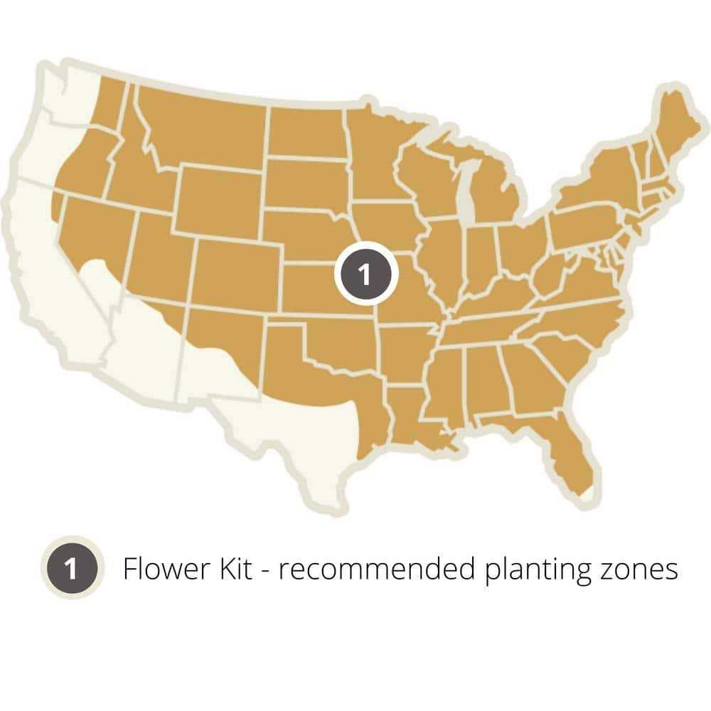 Wildflower Mix S101740