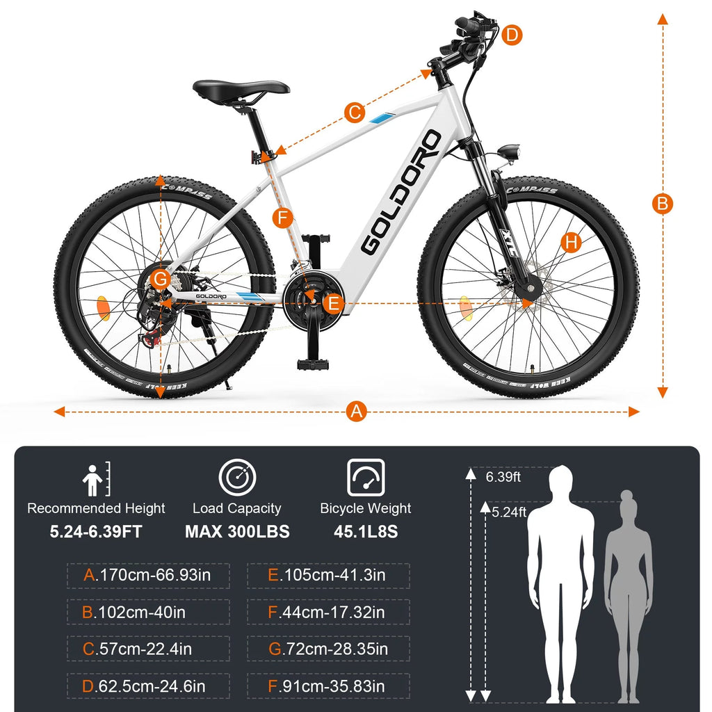 Electric Bike 26" Aluminum Alloy Mountain Bike 250W 21 Speed M9785