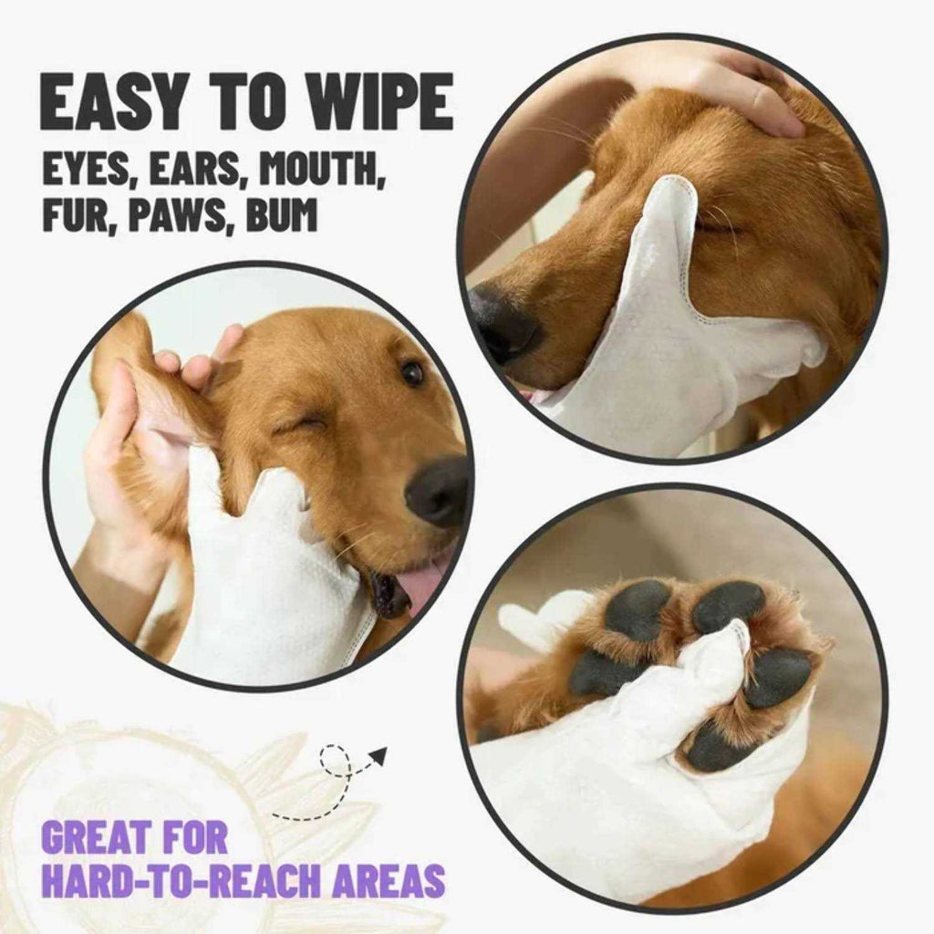 Deodorizing Pet Glove Wipes 20 pc I927