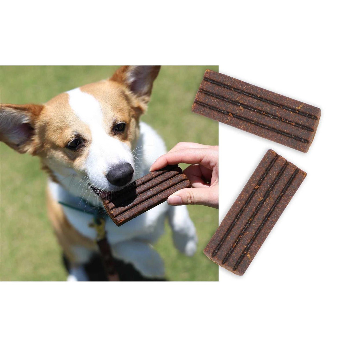 Dog Supplement N65445