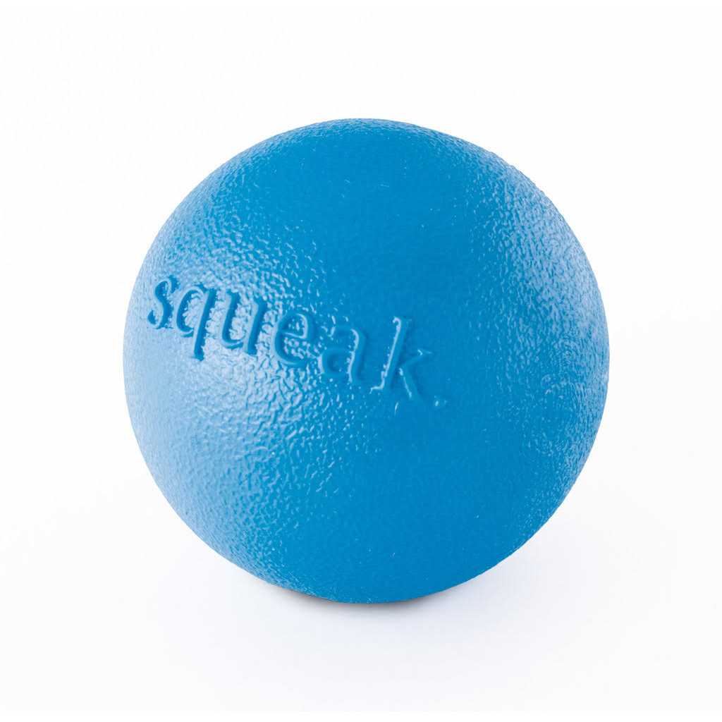 Squeak Toy Ball D68815