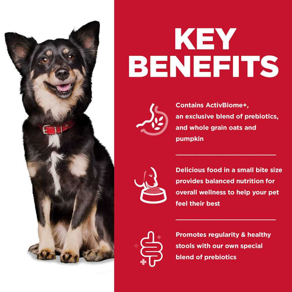 Chicken Dry Dog Food Q27843