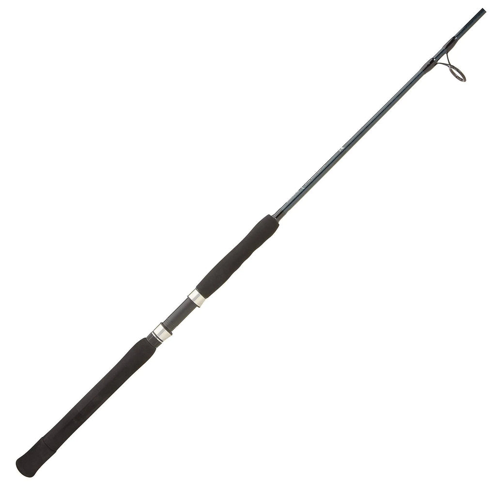 Blue Water Spinning Rod V14985