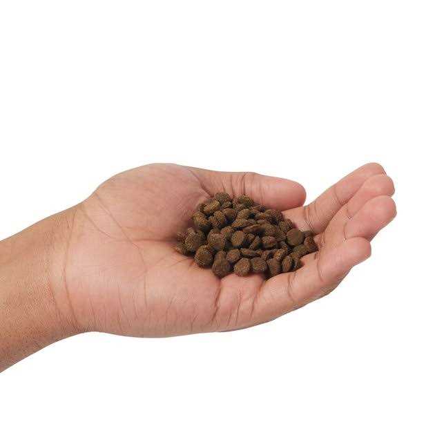 Grain Free Lamb & Blueberry Dry Cat Food H846872