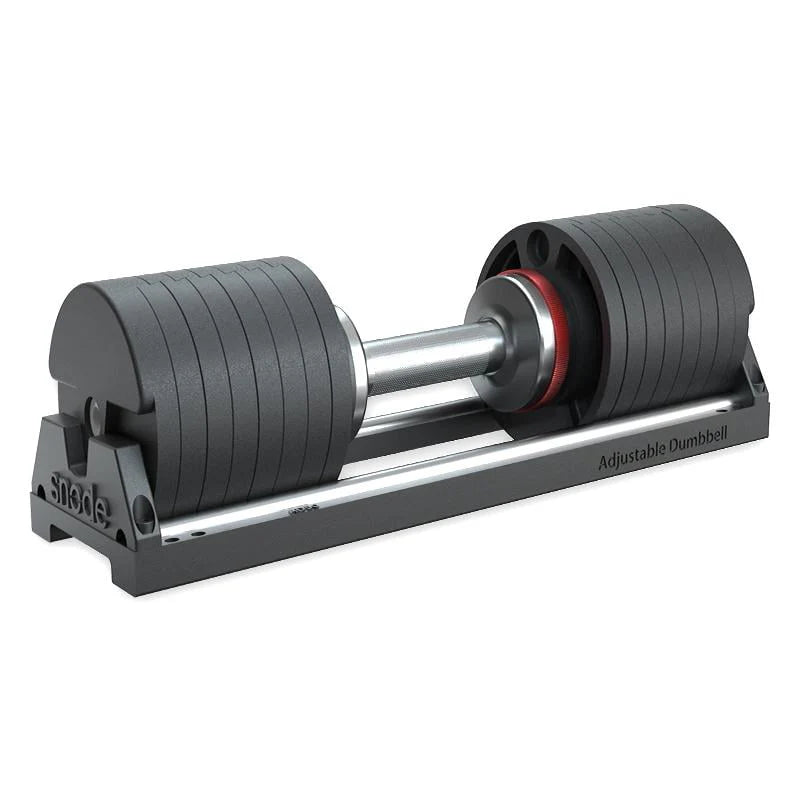 80 lbs Adjustable Dumbbell Set of 2 Cast Iron O630509