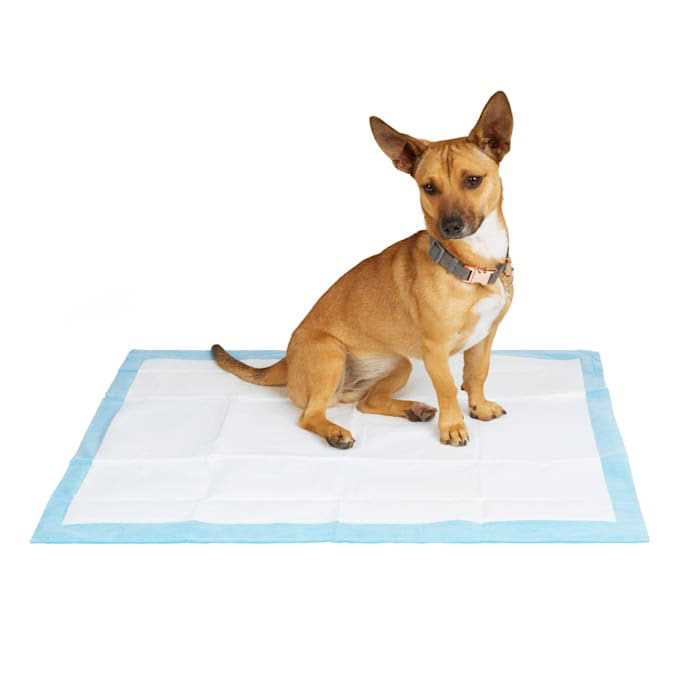 Large Quilted Potty Pads T242