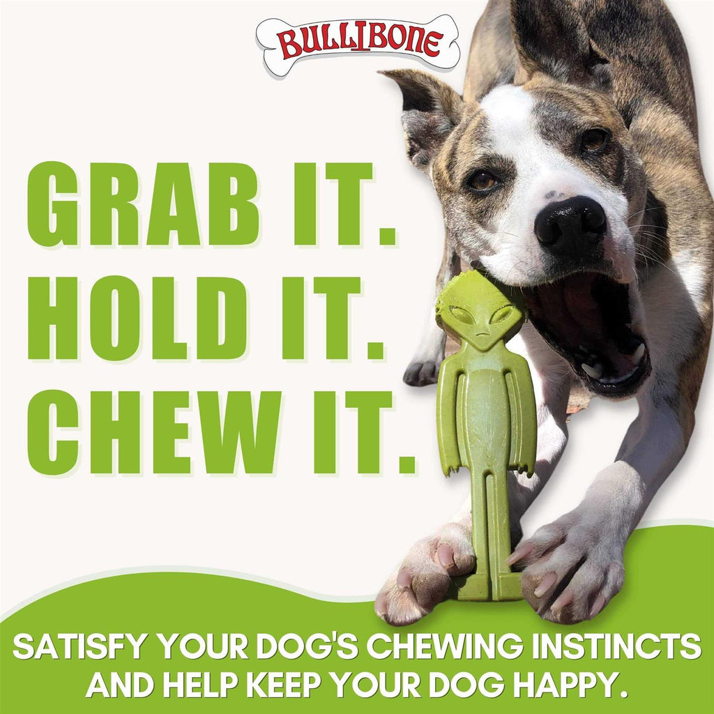 Small Dog Chew Toy with Easy Hold Grips M21141