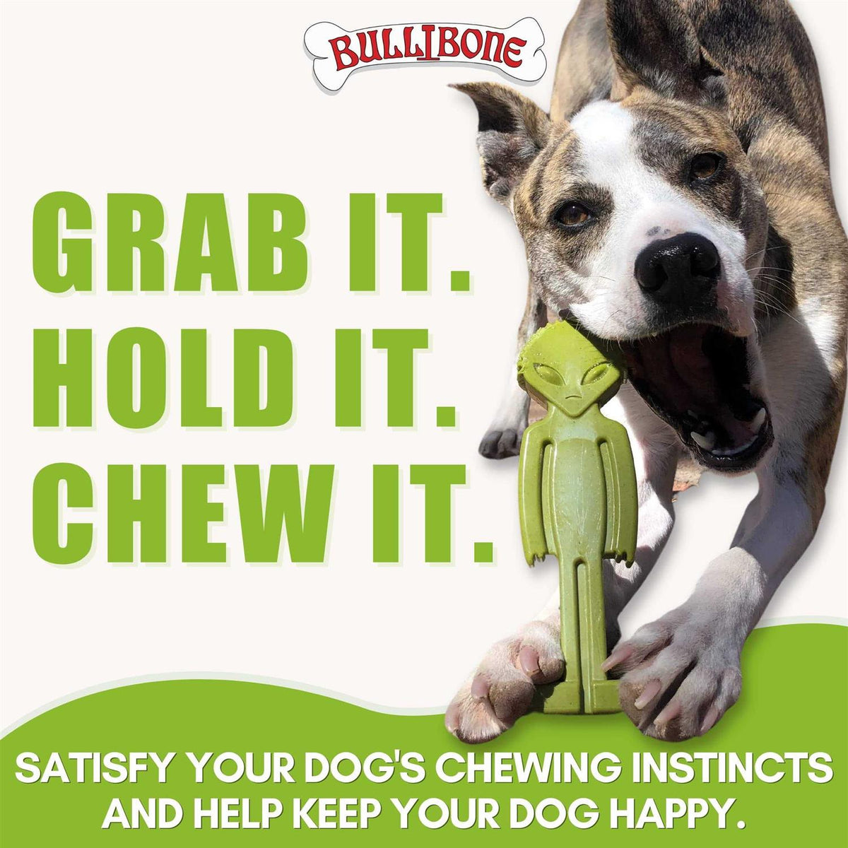 Small Dog Chew Toy with Easy Hold Grips M21141