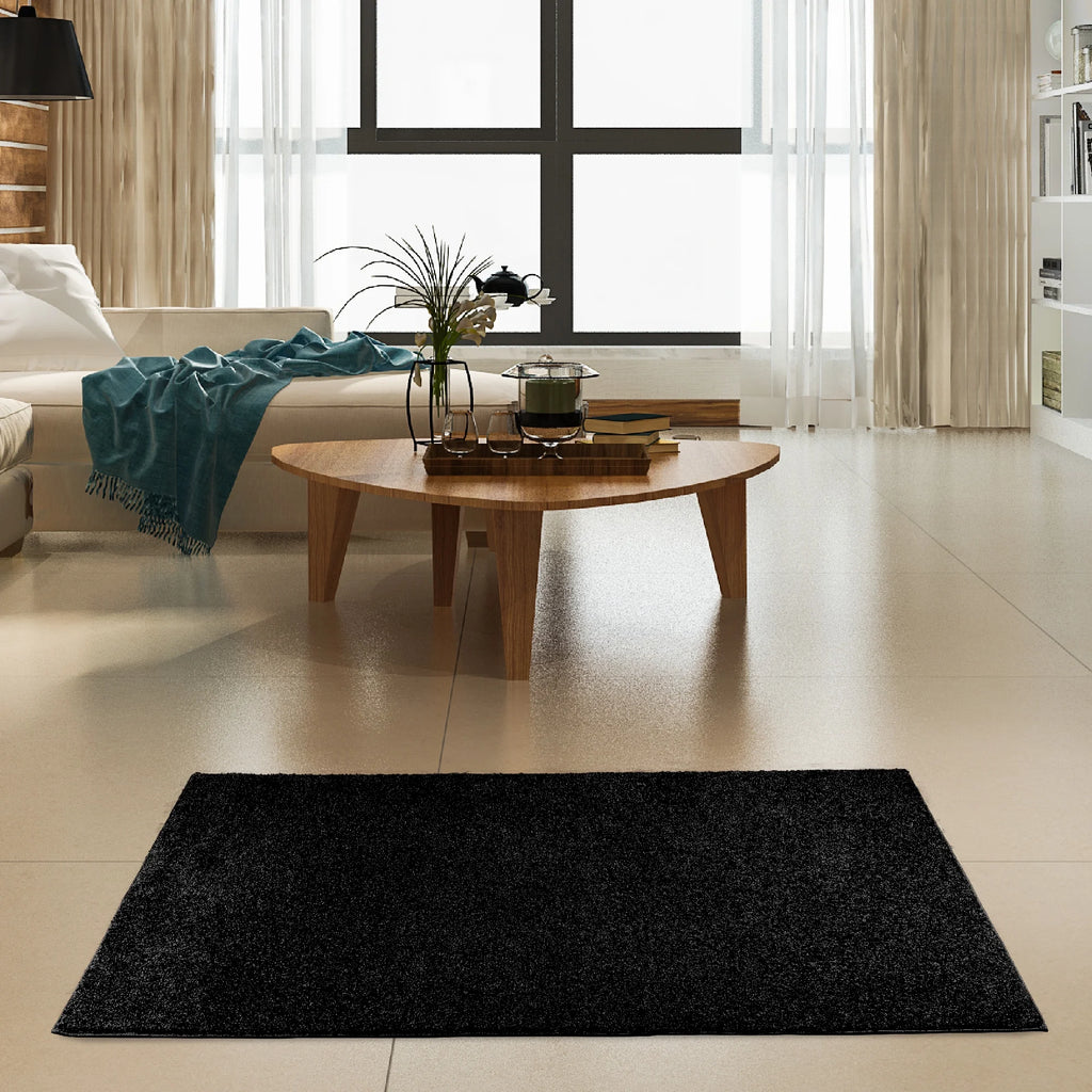 2 ft. Round Black Indoor Rug N15733