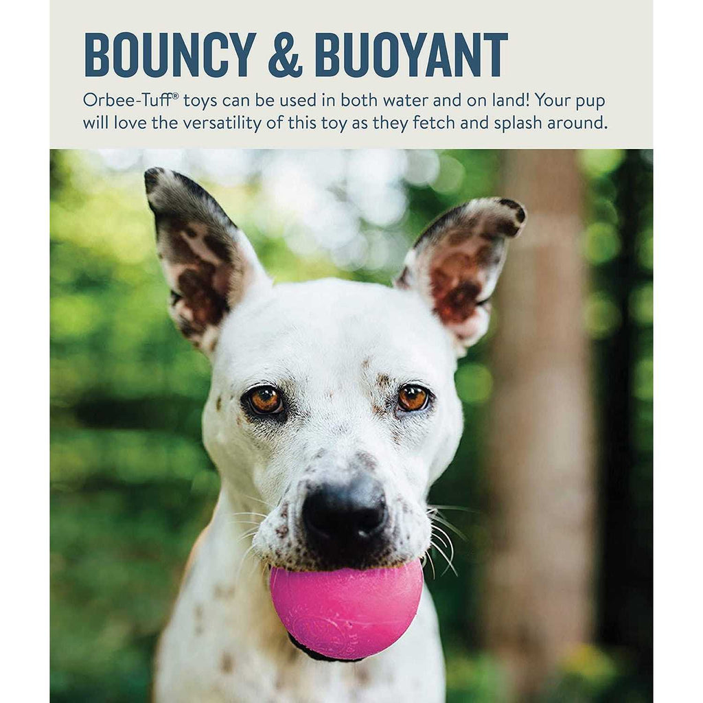 Squeak Toy Ball D68815